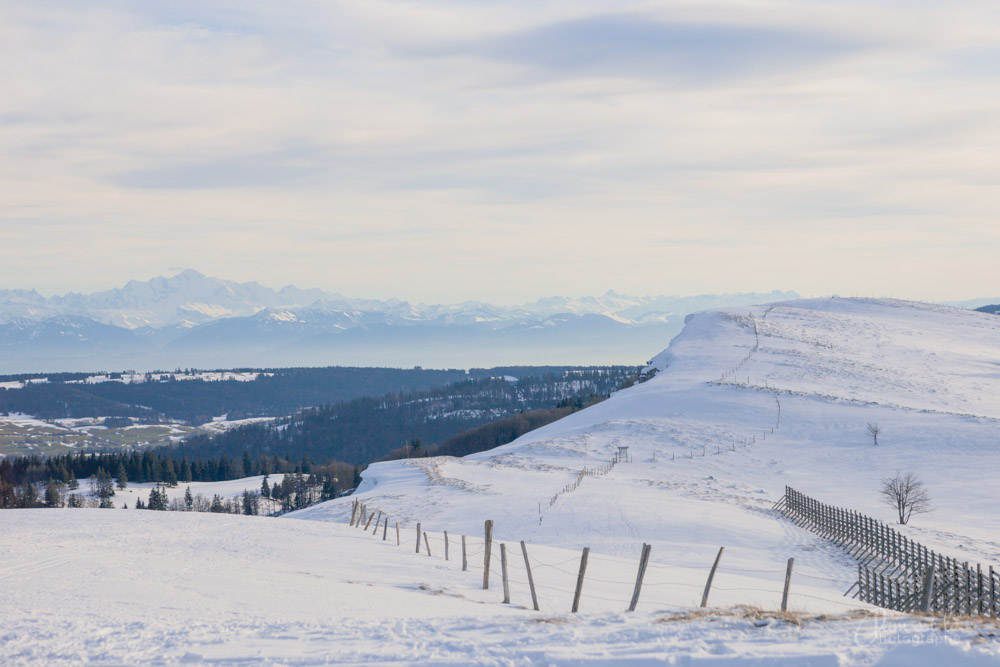 nouvel-an-haut-doubs-pam-est-la-42