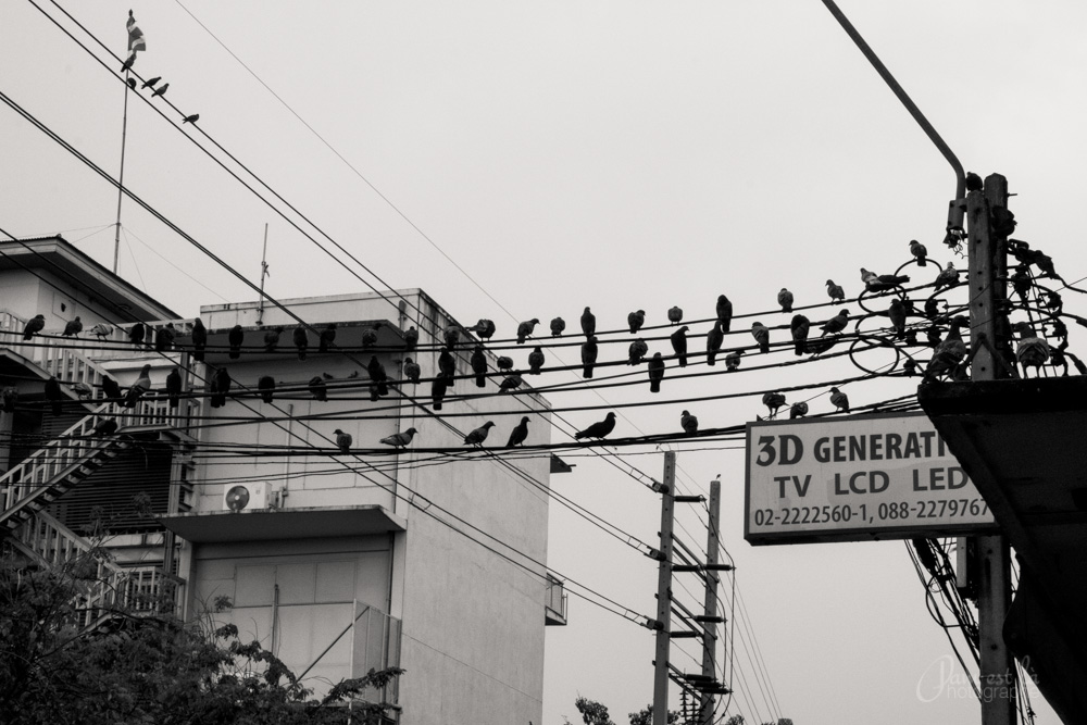 reportage-photo-bangkok-pam-est-la-photographe-copyright-100