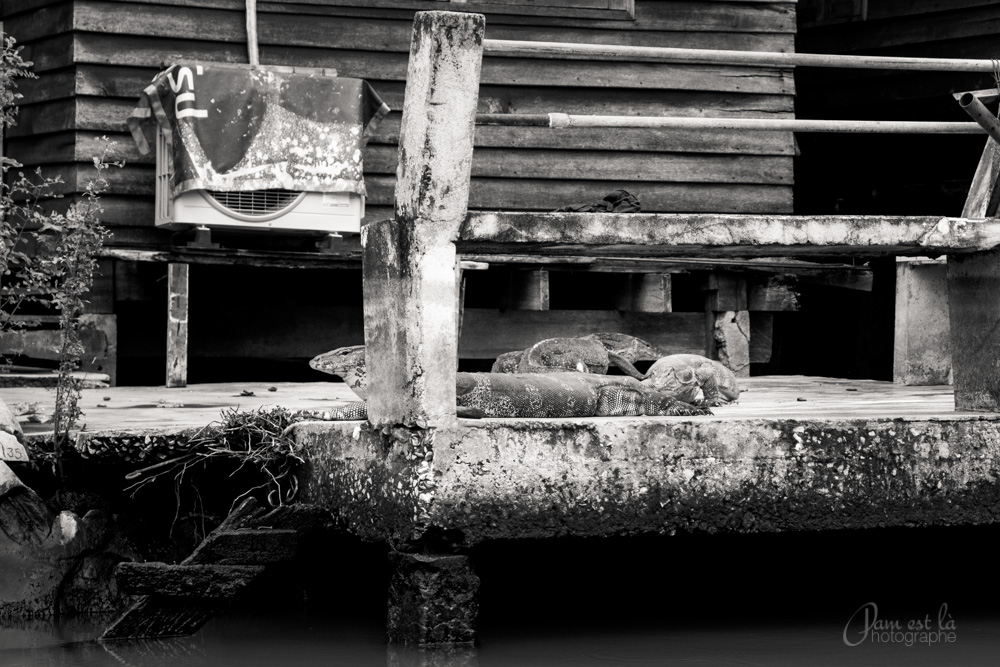 reportage-photo-bangkok-pam-est-la-photographe-copyright-195